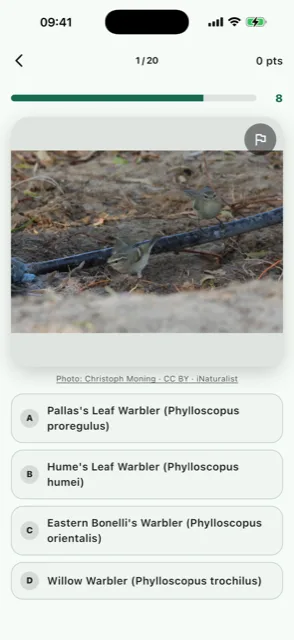 Birdy quiz question